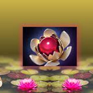 Lotus Orb enjoyer