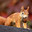 Group Avatar