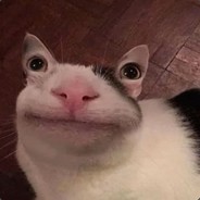 шизойд