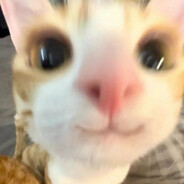 n0rths