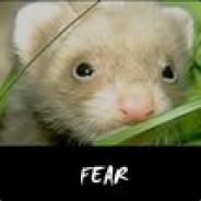  [ Steam Profile ] 