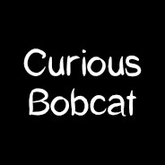 Curious Bobcat