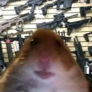 HAMSTER