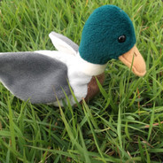 ✪ Ducky