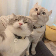 :))