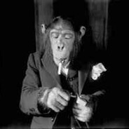 zazo le singe poète