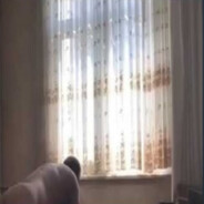 DecawüzcüüSerdarrr