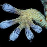 1GeKKo3_bD