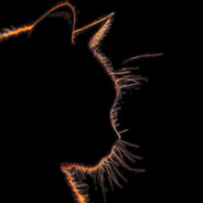 ღЛaпkaღ