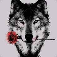 †K99999†