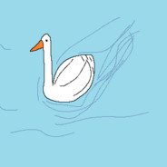ducke
