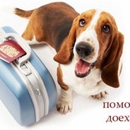 помогите доехать!