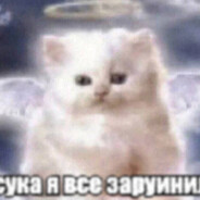 vxcs