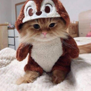 www