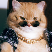 CAT "Meow"