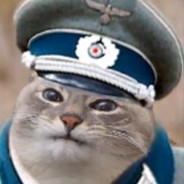 WERMACHT_CAT