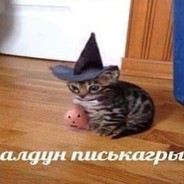 𝕂𝕠𝕝𝕕𝕪𝕟