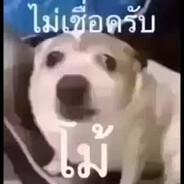 pleasebetrue