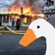 Goose