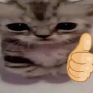 BUTTERFLY22244 avatar