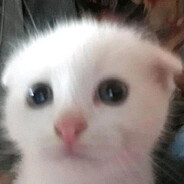 Ketty