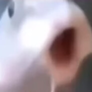 Huh?