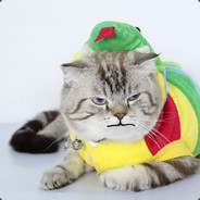 Pleug