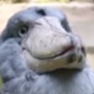 Shoebilly