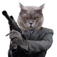 Gato