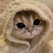 1312