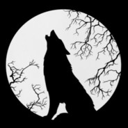 -Lonely Wolf-