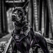 .Milo
