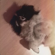 XANTARES*M