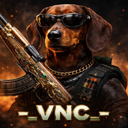 *_VNC_*