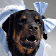 Rottweiler