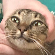 че такое