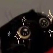 琅桦Lune