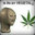 Group Avatar