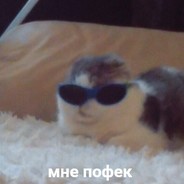 гетлайт приди