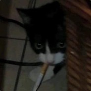 D: