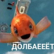 волк с лузстрит