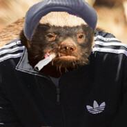 медоед