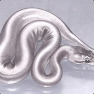 Silver Snakes ii