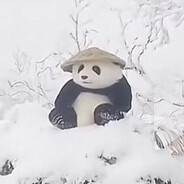 Wise Panda CSGOSKINS