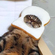 C₁₇H₂₁NO₄