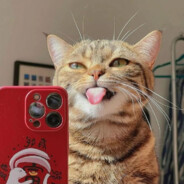 Жоски котяра