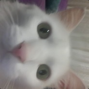 alperoski