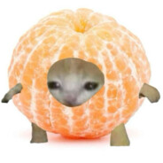 чубрик