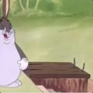 Noah_U_pai