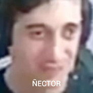 Saniitt